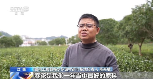 寻味地图上新 春鲜消费撬动文旅热潮